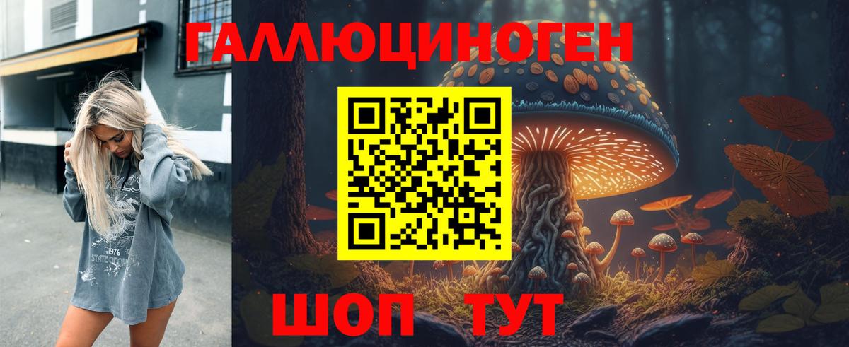 Галлюциногенные грибы Psilocybe  Вход с VPN  Красный Сулин 